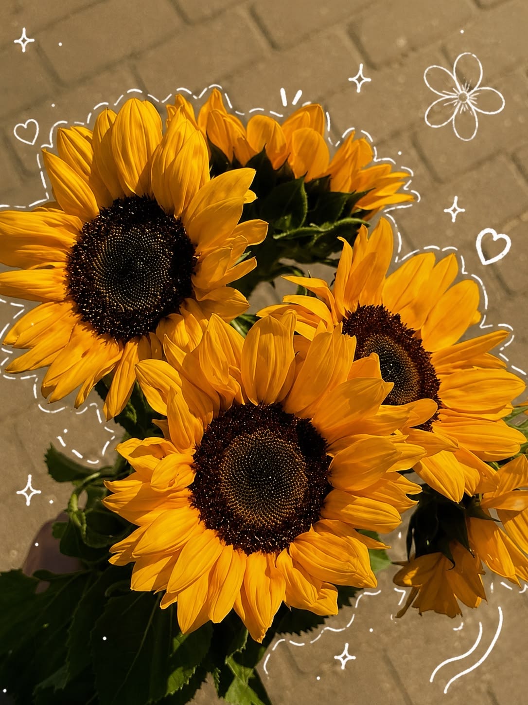 Girasoles con dibujos blancos hechos a mano